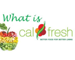 CalFresh Logo