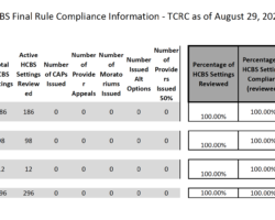 A screenshot of the HCBS Compliance Report 2024