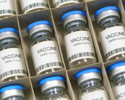 Photo of a box of vaccine vials