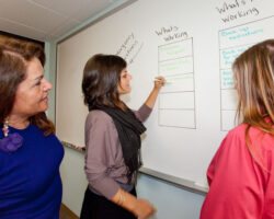 A service provider and her colleagues do a "working, not working" exercise on a large whiteboard